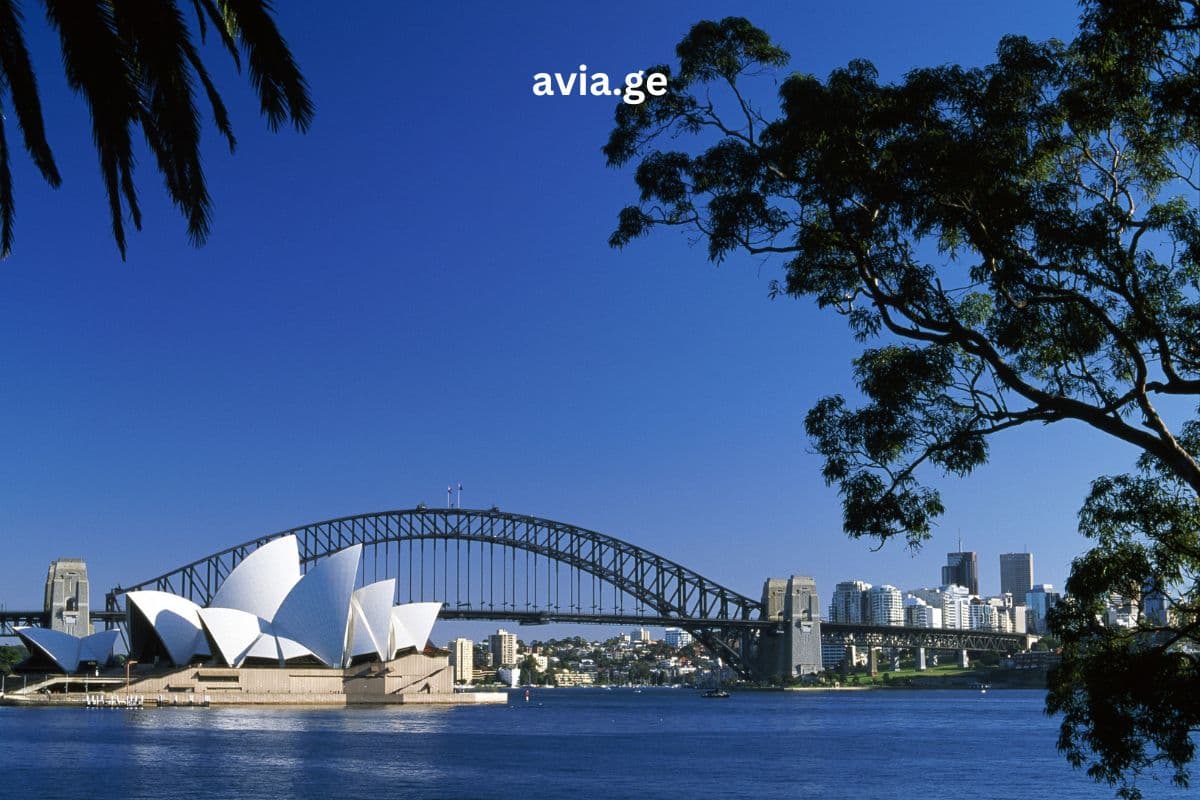 Turebi ყველა მიმართულებით