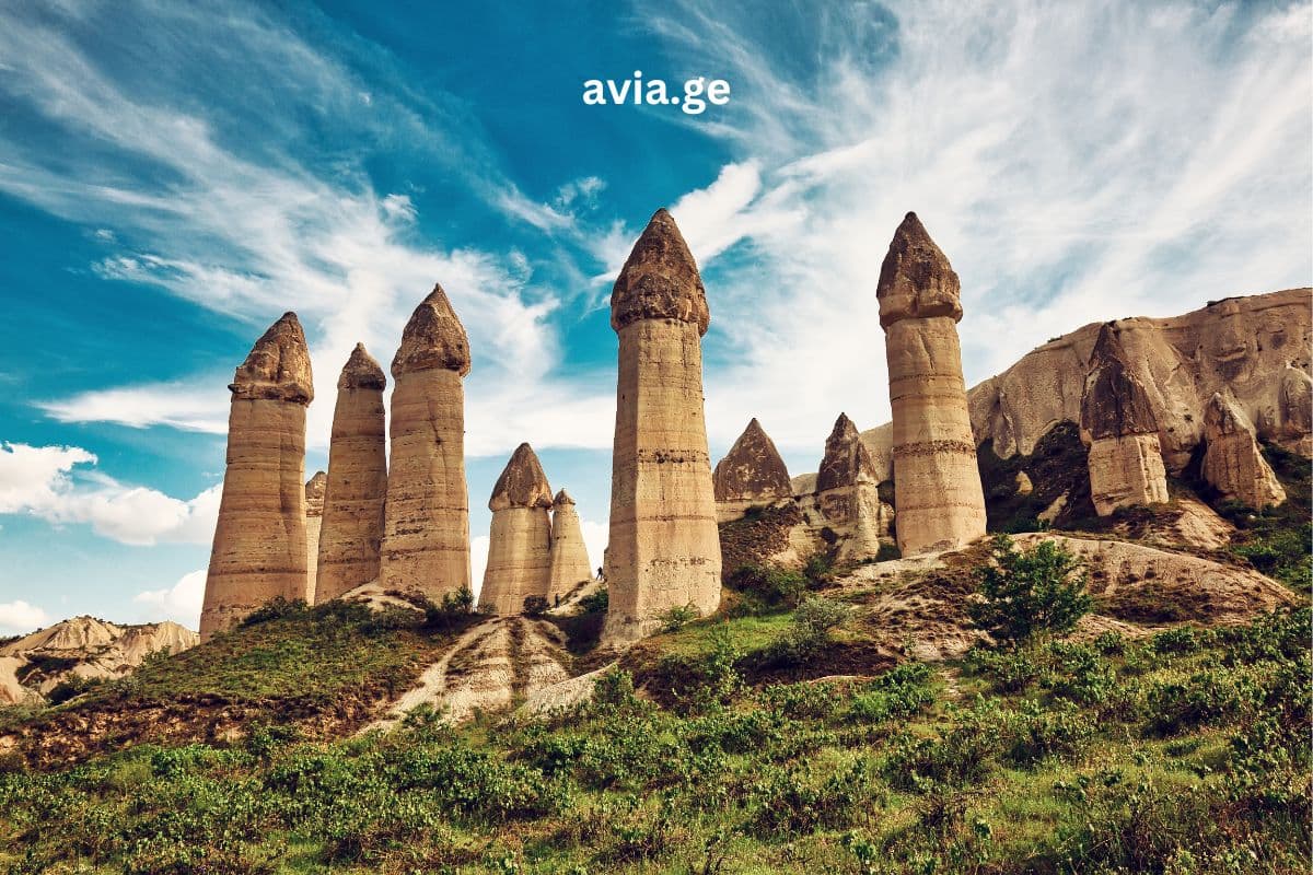 Turebi ყველა მიმართულებით