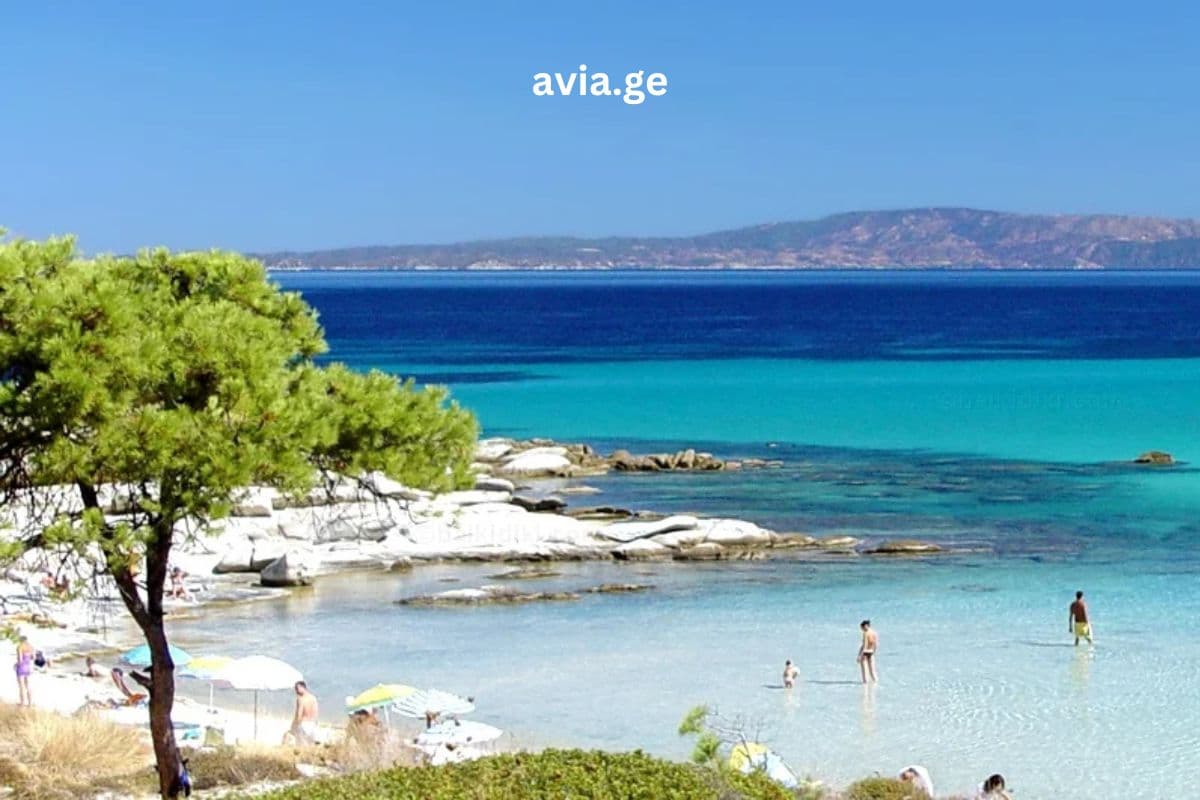 Turebi ყველა მიმართულებით