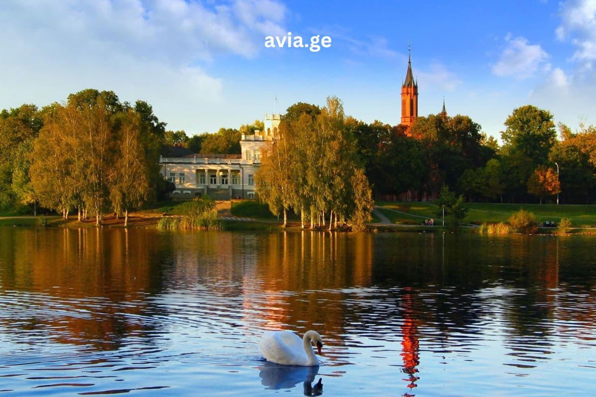 Turebi ყველა მიმართულებით