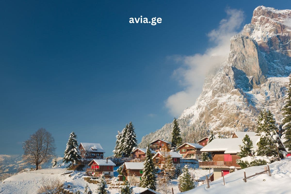 Turebi ყველა მიმართულებით