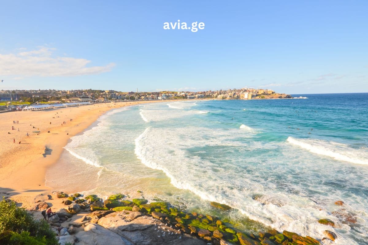 Turebi ყველა მიმართულებით