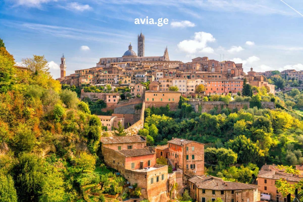 Turebi ყველა მიმართულებით