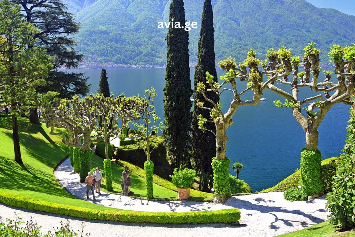 Turebi ყველა მიმართულებით