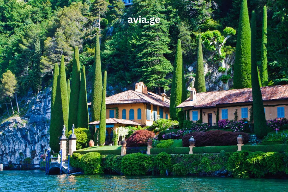 Turebi ყველა მიმართულებით