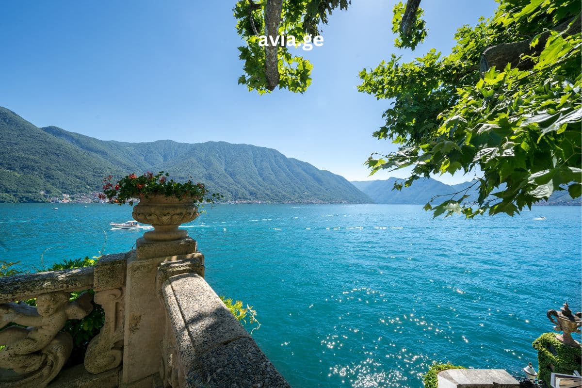 Turebi ყველა მიმართულებით