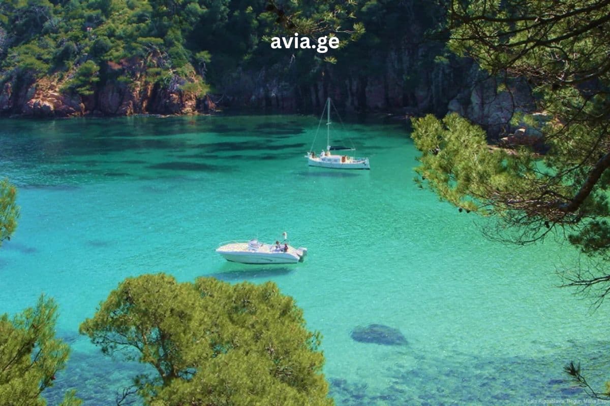 Turebi ყველა მიმართულებით