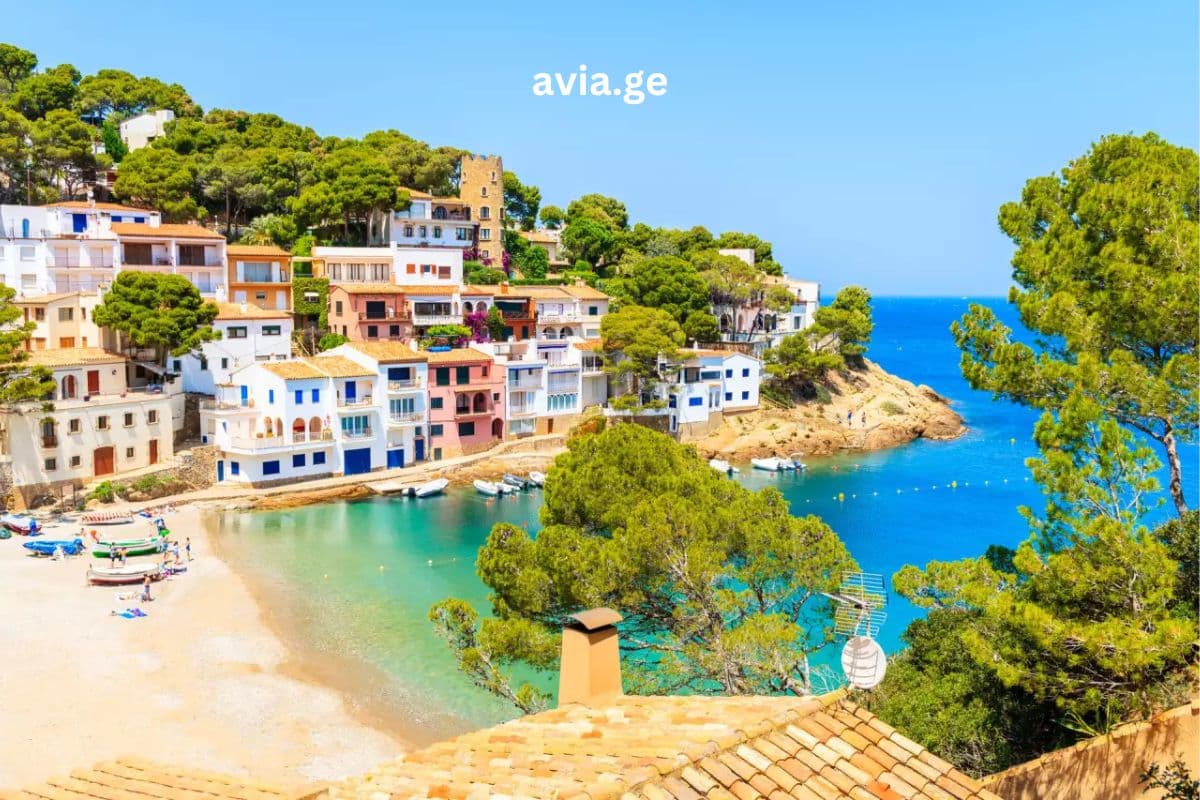 Turebi ყველა მიმართულებით