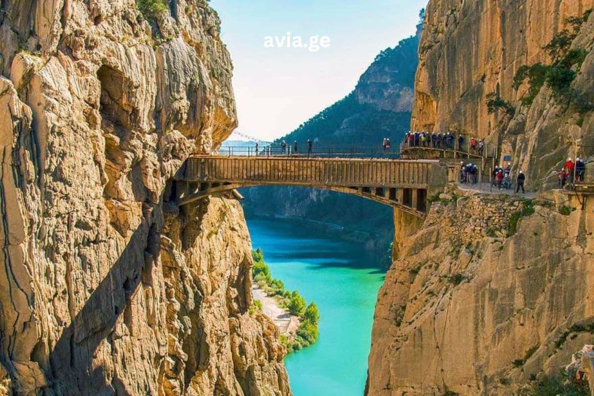 Turebi ყველა მიმართულებით