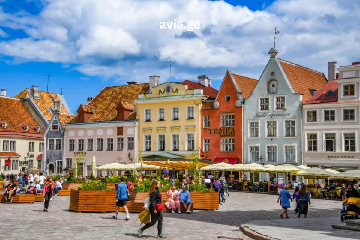 Turebi ყველა მიმართულებით