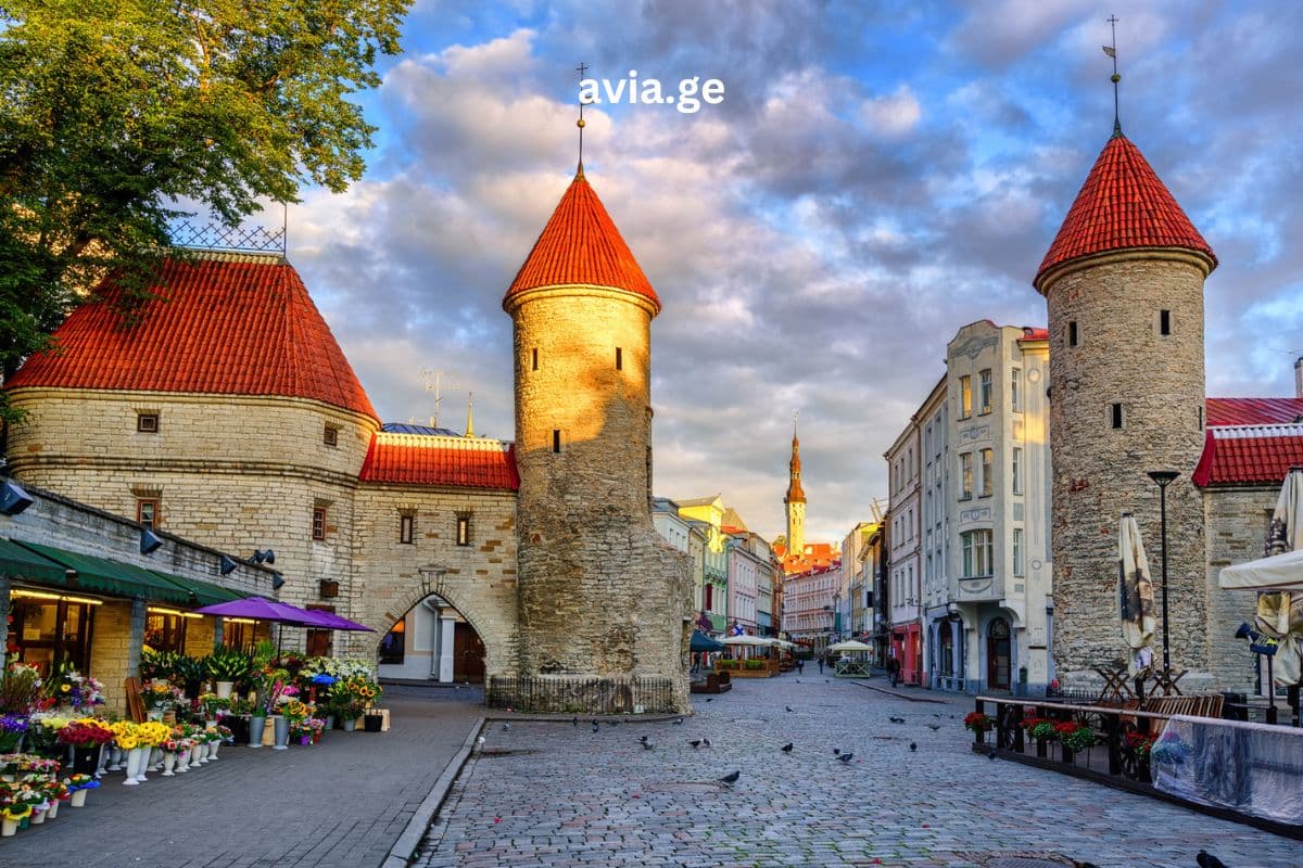 Turebi ყველა მიმართულებით