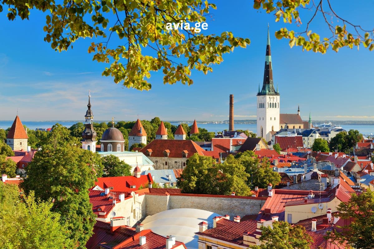 Turebi ყველა მიმართულებით